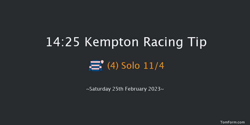 Kempton 14:25 Maiden Chase (Class 1) 20f Wed 22nd Feb 2023