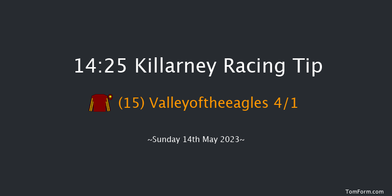 Killarney 14:25 Maiden Hurdle 17f Mon 10th Oct 2022
