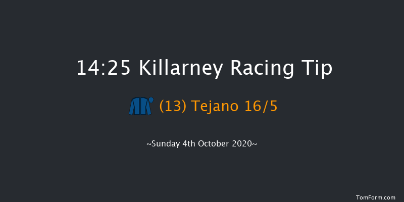 Irish Stallion Farms EBF Fillies Maiden Killarney 14:25 Maiden 8f Sat 22nd Aug 2020
