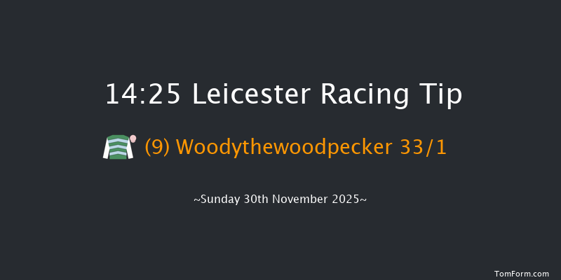 Leicester 14-25 (Class 4) 20f Mon 17th Nov 2025