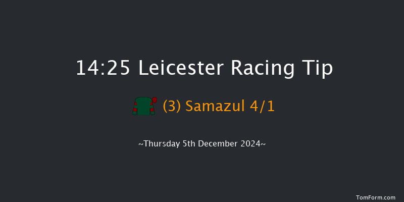 Leicester  14:25 Handicap Chase (Class 4) 16f Sun 1st Dec 2024