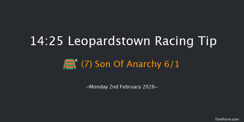 Leopardstown 14-25 (Class 1) 24f Sun 1st Feb 2026