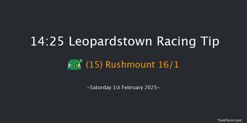 Leopardstown  14:25 Handicap Hurdle 24f Sun 29th Dec 2024