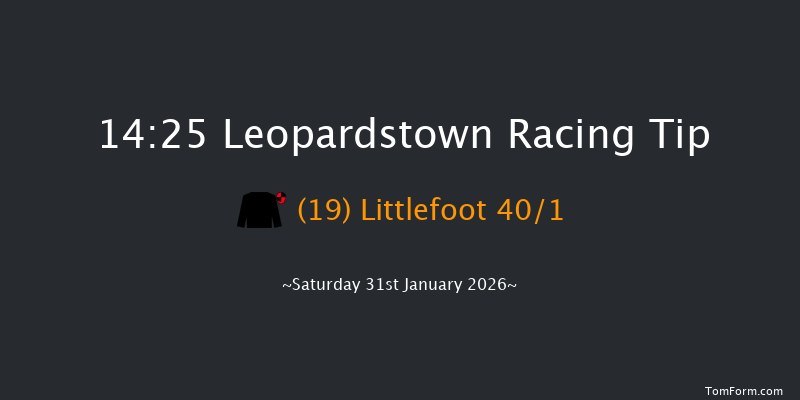 Leopardstown 14-25 (Class 1) 24f Mon 29th Dec 2025
