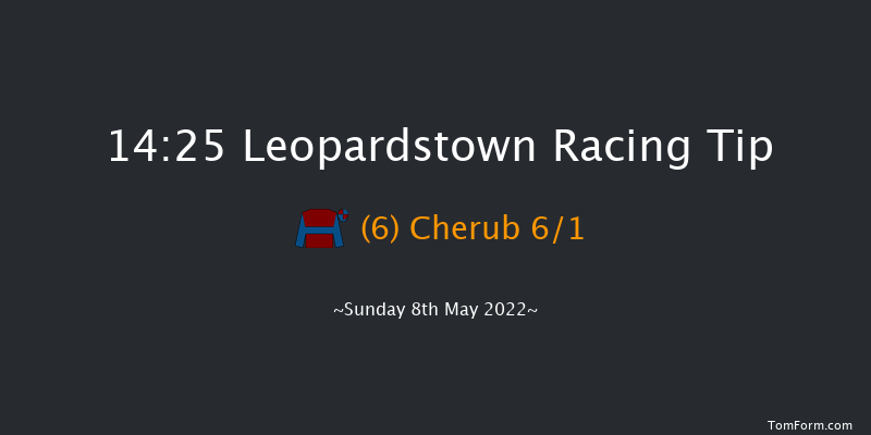 Leopardstown 14:25 Maiden 10f Wed 6th Apr 2022
