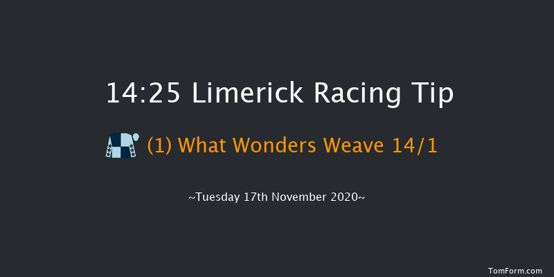 Croom Mares Handicap Hurdle Limerick 14:25 Handicap Hurdle 16f Sun 11th Oct 2020