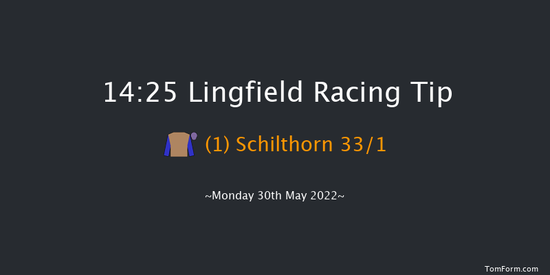 Lingfield 14:25 Stakes (Class 5) 9f Tue 24th May 2022