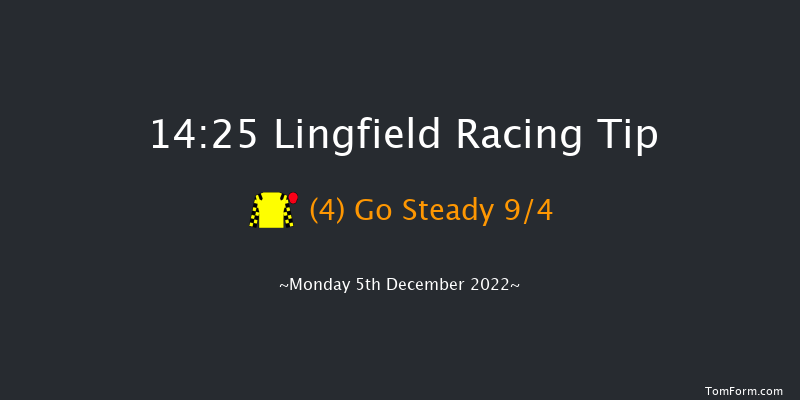 Lingfield 14:25 Handicap Chase (Class 3) 20f Wed 30th Nov 2022