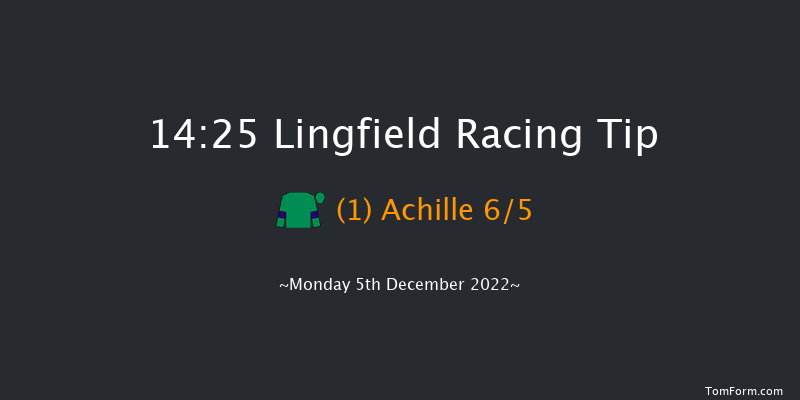 Lingfield 14:25 Handicap Chase (Class 3) 20f Wed 30th Nov 2022