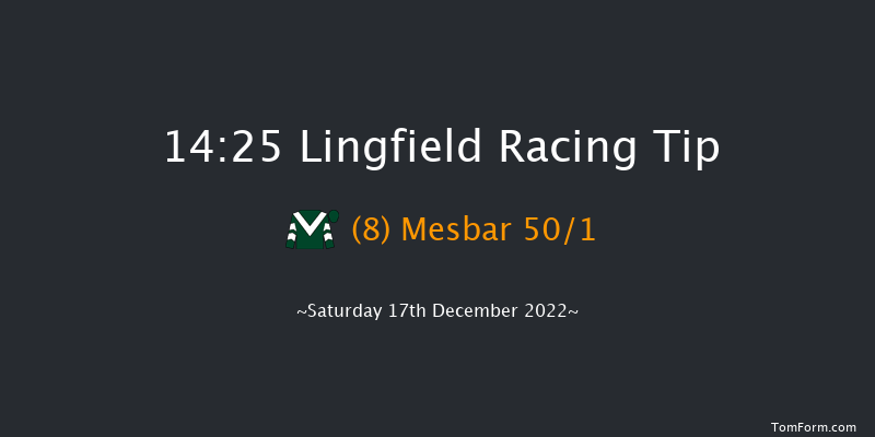 Lingfield 14:25 Handicap (Class 6) 12f Wed 14th Dec 2022