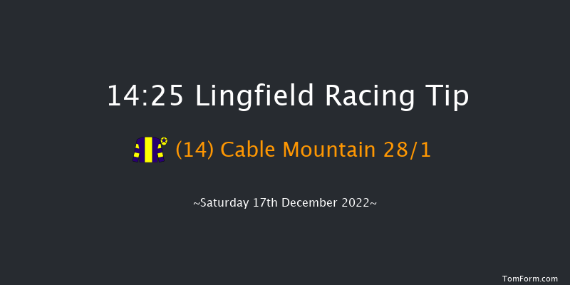 Lingfield 14:25 Handicap (Class 6) 12f Wed 14th Dec 2022