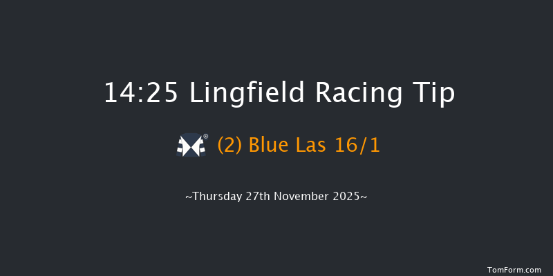 Lingfield 14-25 (Class 3) 20f Tue 25th Nov 2025
