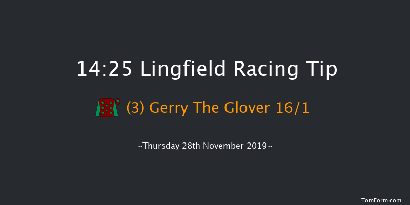 Lingfield 14:25 Handicap (Class 6) 10f Sat 23rd Nov 2019