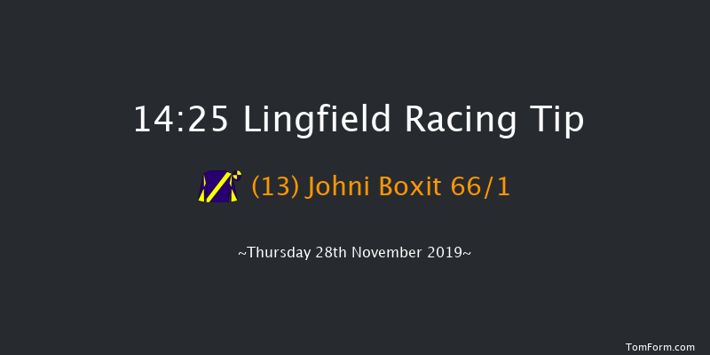 Lingfield 14:25 Handicap (Class 6) 10f Sat 23rd Nov 2019