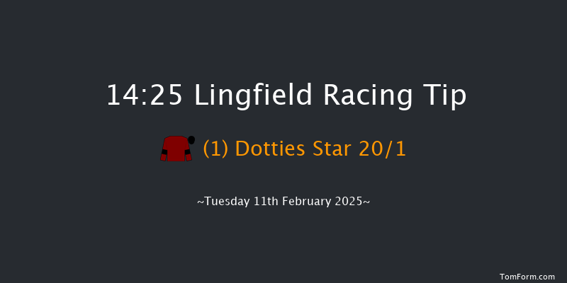 Lingfield  14:25 Novices Hurdle (Class 4) 16f Fri 7th Feb 2025