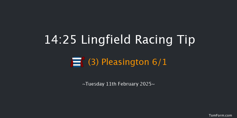Lingfield  14:25 Novices Hurdle (Class 4) 16f Fri 7th Feb 2025