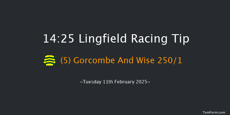 Lingfield  14:25 Novices Hurdle (Class 4) 16f Fri 7th Feb 2025