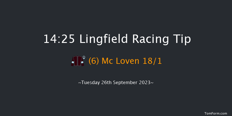 Lingfield 14:25 Handicap (Class 4) 5f Sat 16th Sep 2023