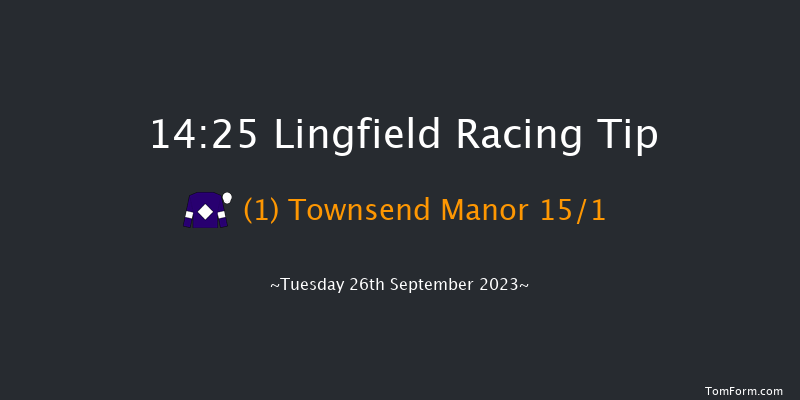 Lingfield 14:25 Handicap (Class 4) 5f Sat 16th Sep 2023