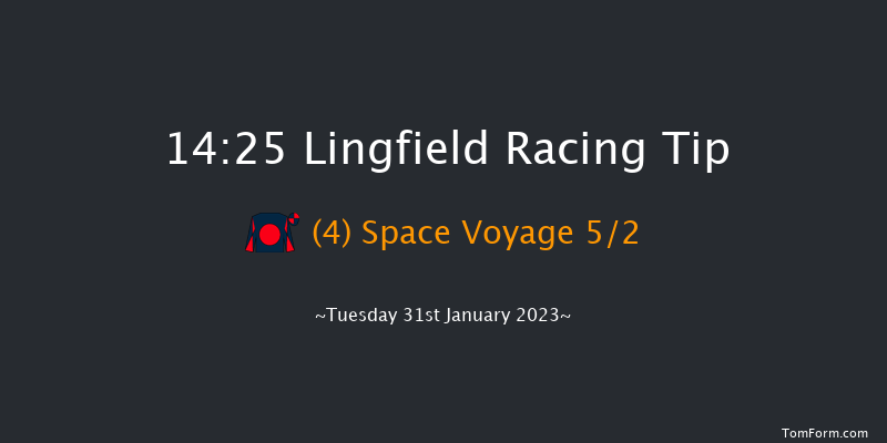 Lingfield 14:25 Novices Hurdle (Class 4) 20f Sat 28th Jan 2023