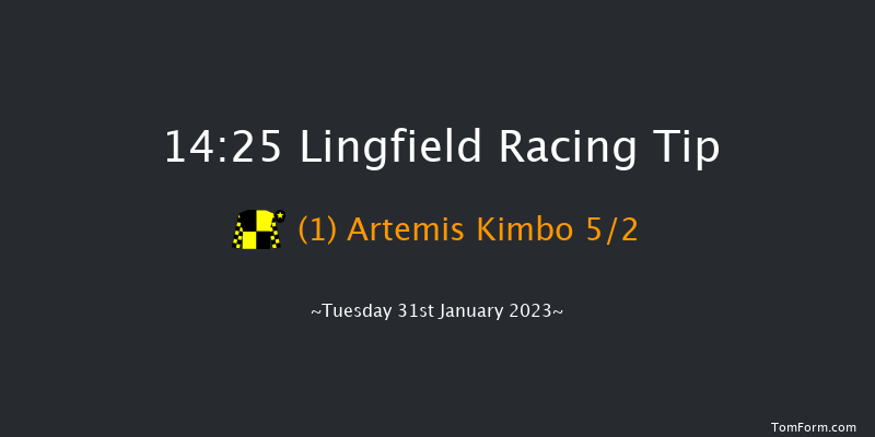 Lingfield 14:25 Novices Hurdle (Class 4) 20f Sat 28th Jan 2023