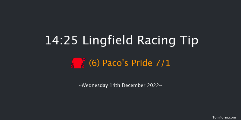 Lingfield 14:25 Stakes (Class 5) 7f Mon 12th Dec 2022