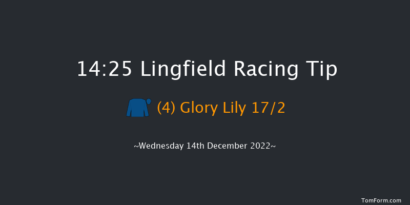 Lingfield 14:25 Stakes (Class 5) 7f Mon 12th Dec 2022