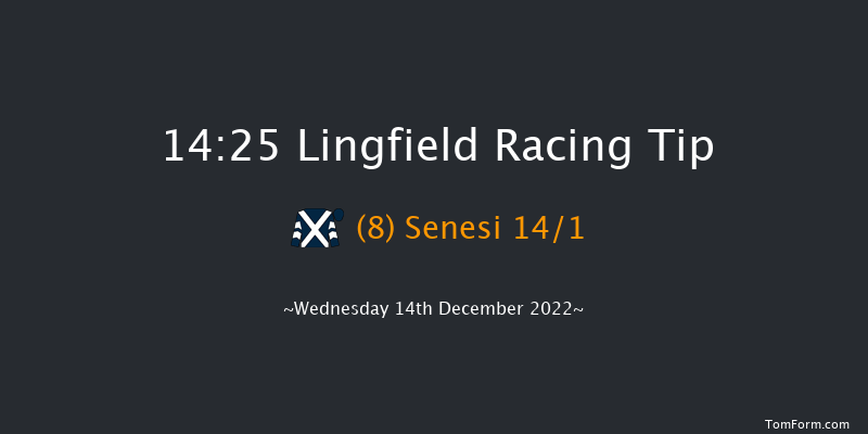 Lingfield 14:25 Stakes (Class 5) 7f Mon 12th Dec 2022