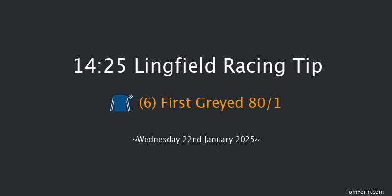 Lingfield  14:25 Handicap (Class 6) 8f Sat 18th Jan 2025