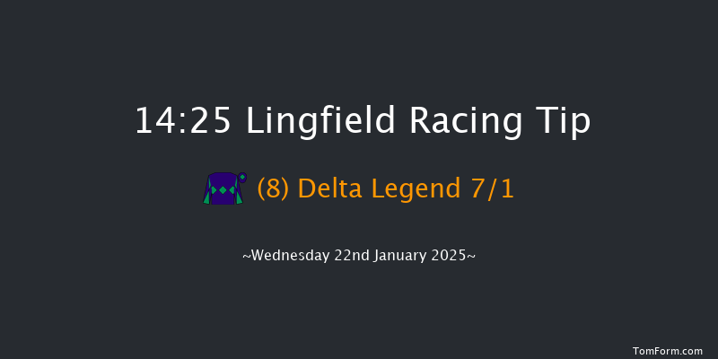 Lingfield  14:25 Handicap (Class 6) 8f Sat 18th Jan 2025