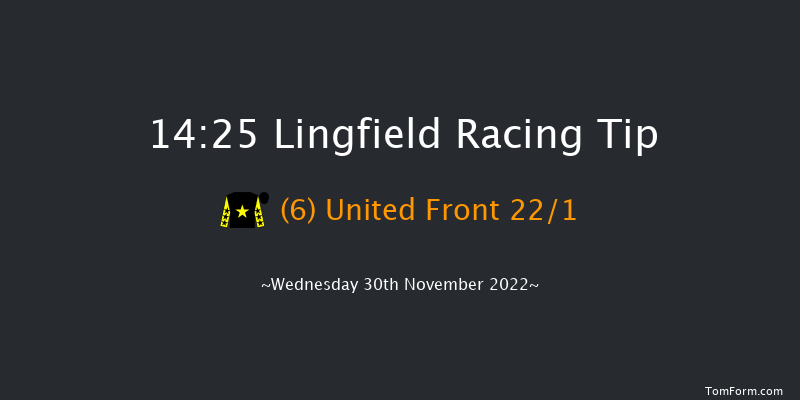 Lingfield 14:25 Handicap (Class 2) 10f Tue 29th Nov 2022