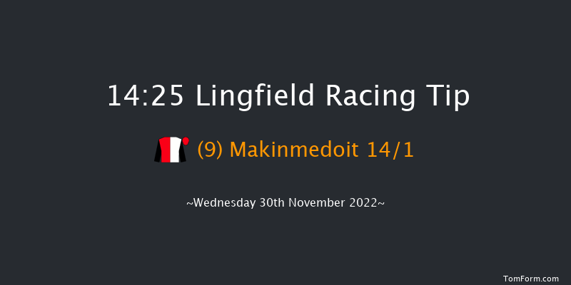Lingfield 14:25 Handicap (Class 2) 10f Tue 29th Nov 2022