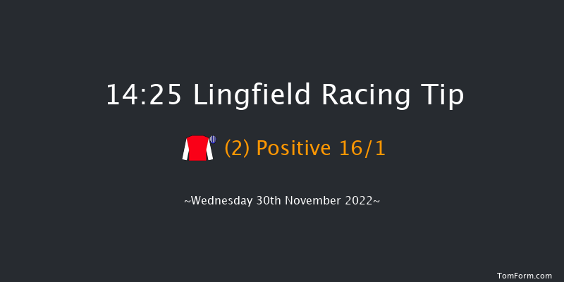 Lingfield 14:25 Handicap (Class 2) 10f Tue 29th Nov 2022