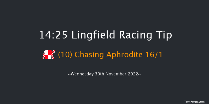 Lingfield 14:25 Handicap (Class 2) 10f Tue 29th Nov 2022