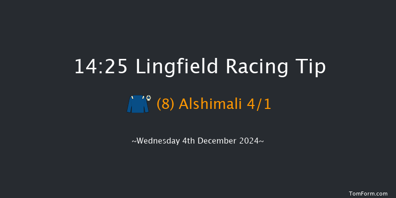 Lingfield  14:25 Handicap (Class 6) 6f Tue 3rd Dec 2024