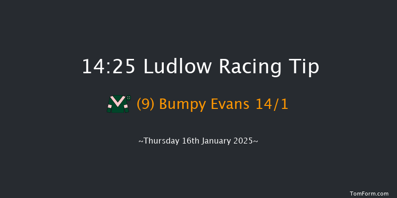 Ludlow  14:25 Handicap Chase (Class 5) 20f Mon 6th Jan 2025