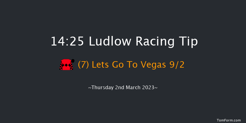 Ludlow 14:25 Handicap Hurdle (Class 3) 24f Wed 22nd Feb 2023