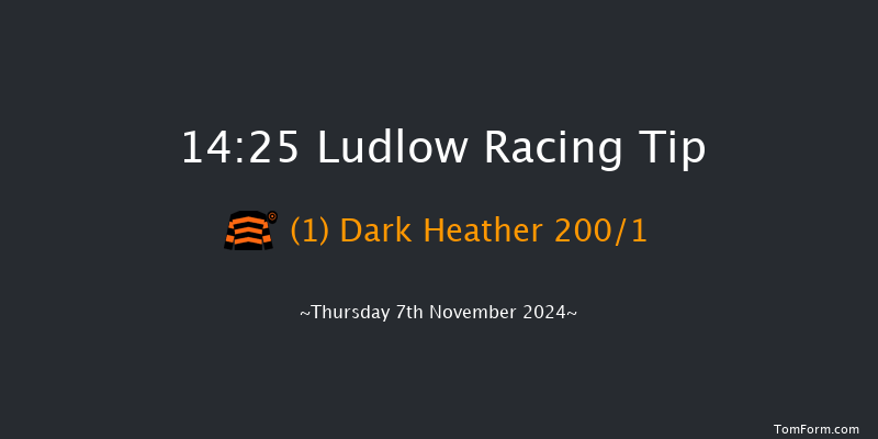 Ludlow  14:25 Maiden Hurdle (Class 4) 21f Thu 24th Oct 2024