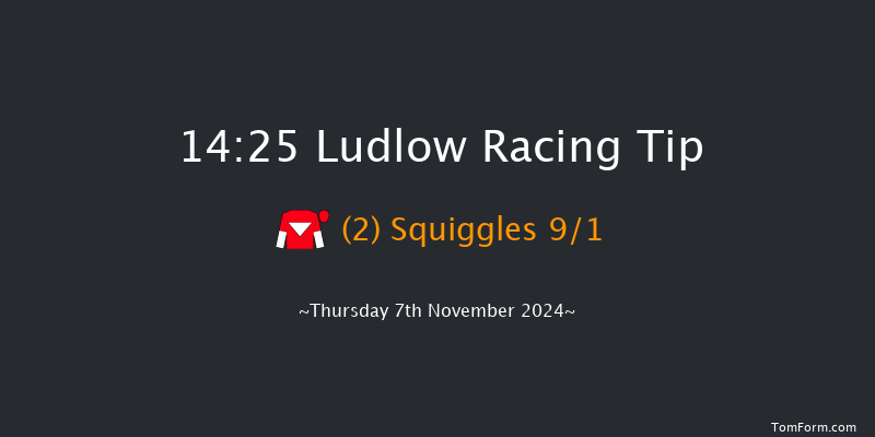 Ludlow  14:25 Maiden Hurdle (Class 4) 21f Thu 24th Oct 2024