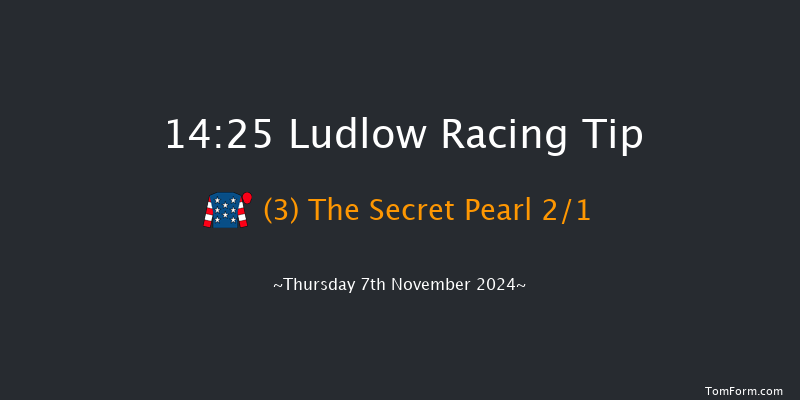 Ludlow  14:25 Maiden Hurdle (Class 4) 21f Thu 24th Oct 2024