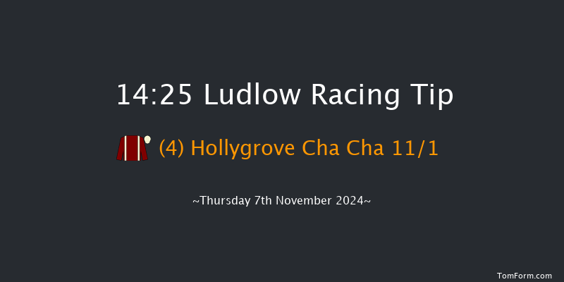 Ludlow  14:25 Maiden Hurdle (Class 4) 21f Thu 24th Oct 2024