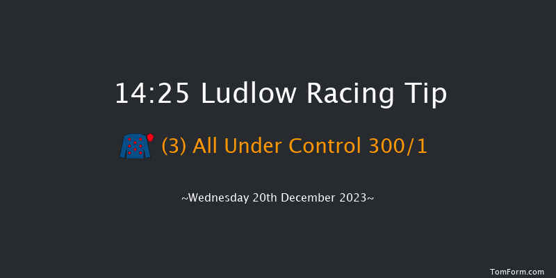 Ludlow 14:25 Maiden Hurdle (Class 4) 21f Wed 6th Dec 2023