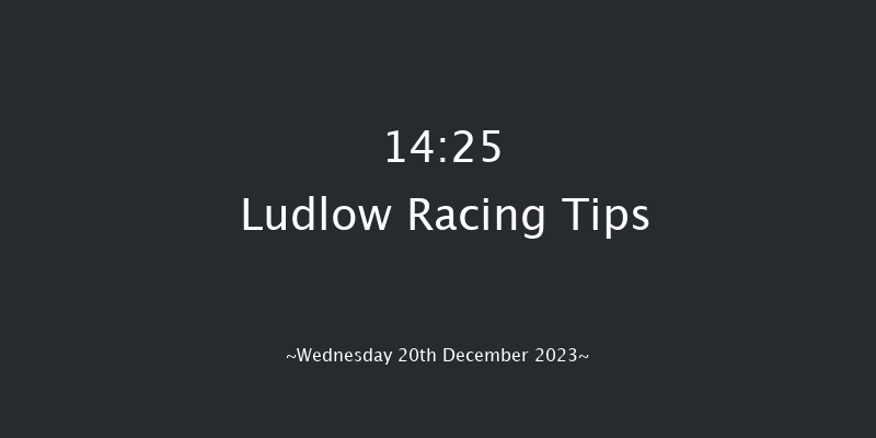 Ludlow 14:25 Maiden Hurdle (Class 4) 21f Wed 6th Dec 2023