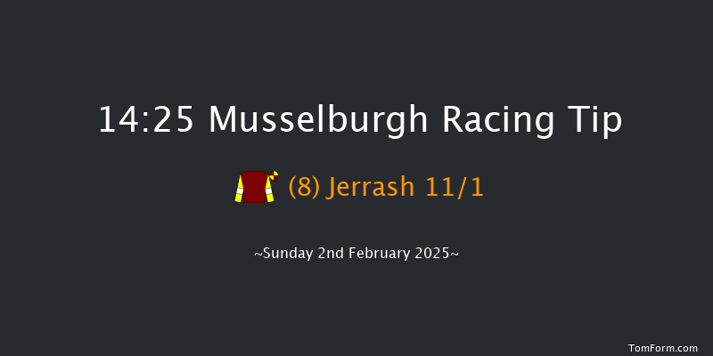 Musselburgh  14:25 Handicap Chase (Class 2) 31f Sat 1st Feb 2025