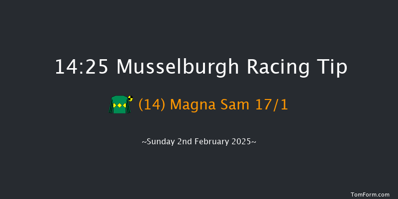 Musselburgh  14:25 Handicap Chase (Class 2) 31f Sat 1st Feb 2025