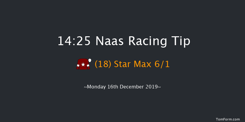 Naas 14:25 Beginners Chase 19f Sat 9th Nov 2019