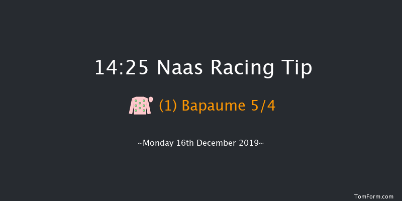 Naas 14:25 Beginners Chase 19f Sat 9th Nov 2019