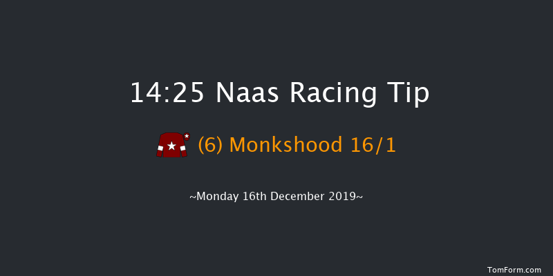 Naas 14:25 Beginners Chase 19f Sat 9th Nov 2019