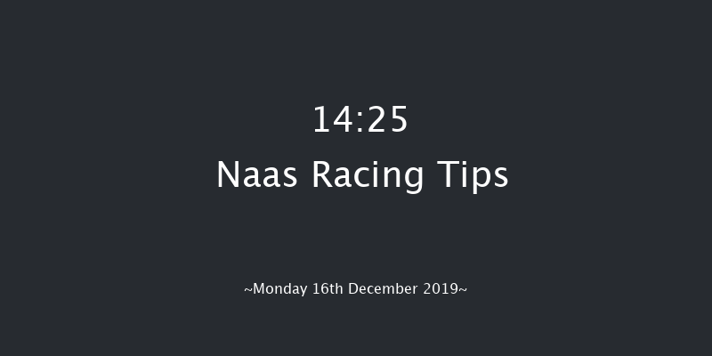 Naas 14:25 Beginners Chase 19f Sat 9th Nov 2019
