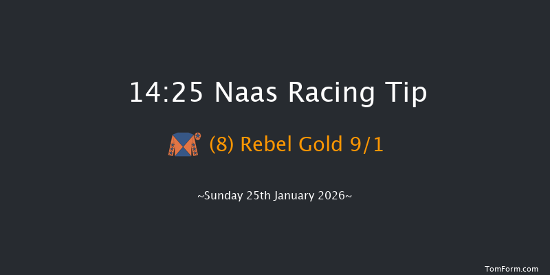 Naas 14-25 (Class 1) 18f Fri 9th Jan 2026